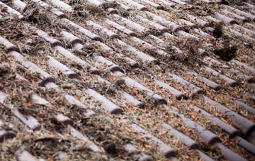 Upper Elmers End roof cleaning companies